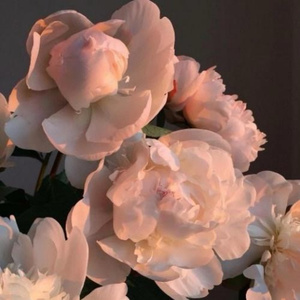 在线免费观看黄91
