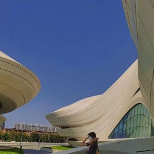 在线免费观看黄91
